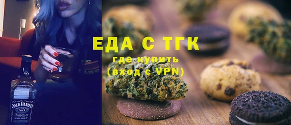 индика Волоколамск