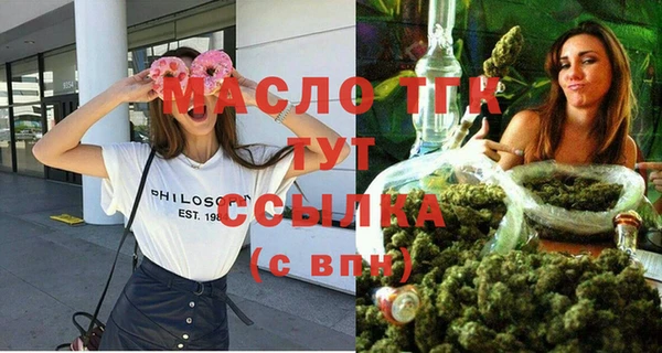 индика Волоколамск