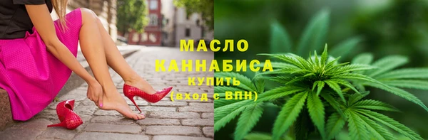 индика Волоколамск