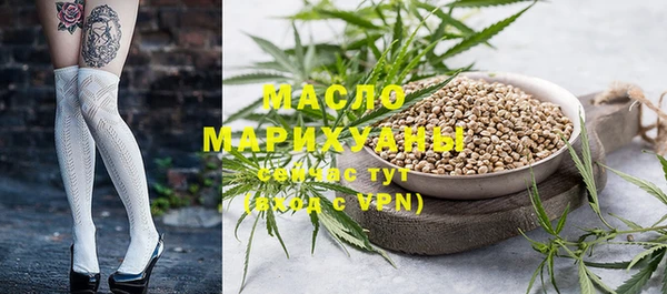 индика Волоколамск