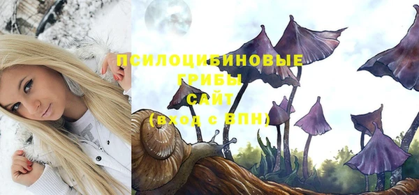 COCAINE Вяземский