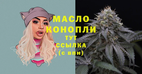 мдпв Володарск