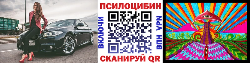 Купить  Красный Кут  Галлюциногенные грибы мухоморы 