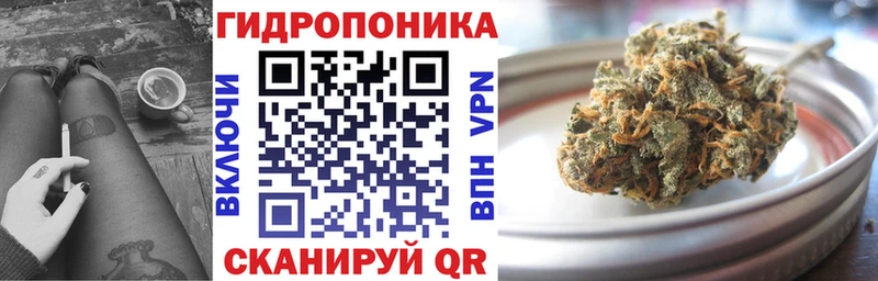 Купить где  Красный Кут  Канабис конопля 